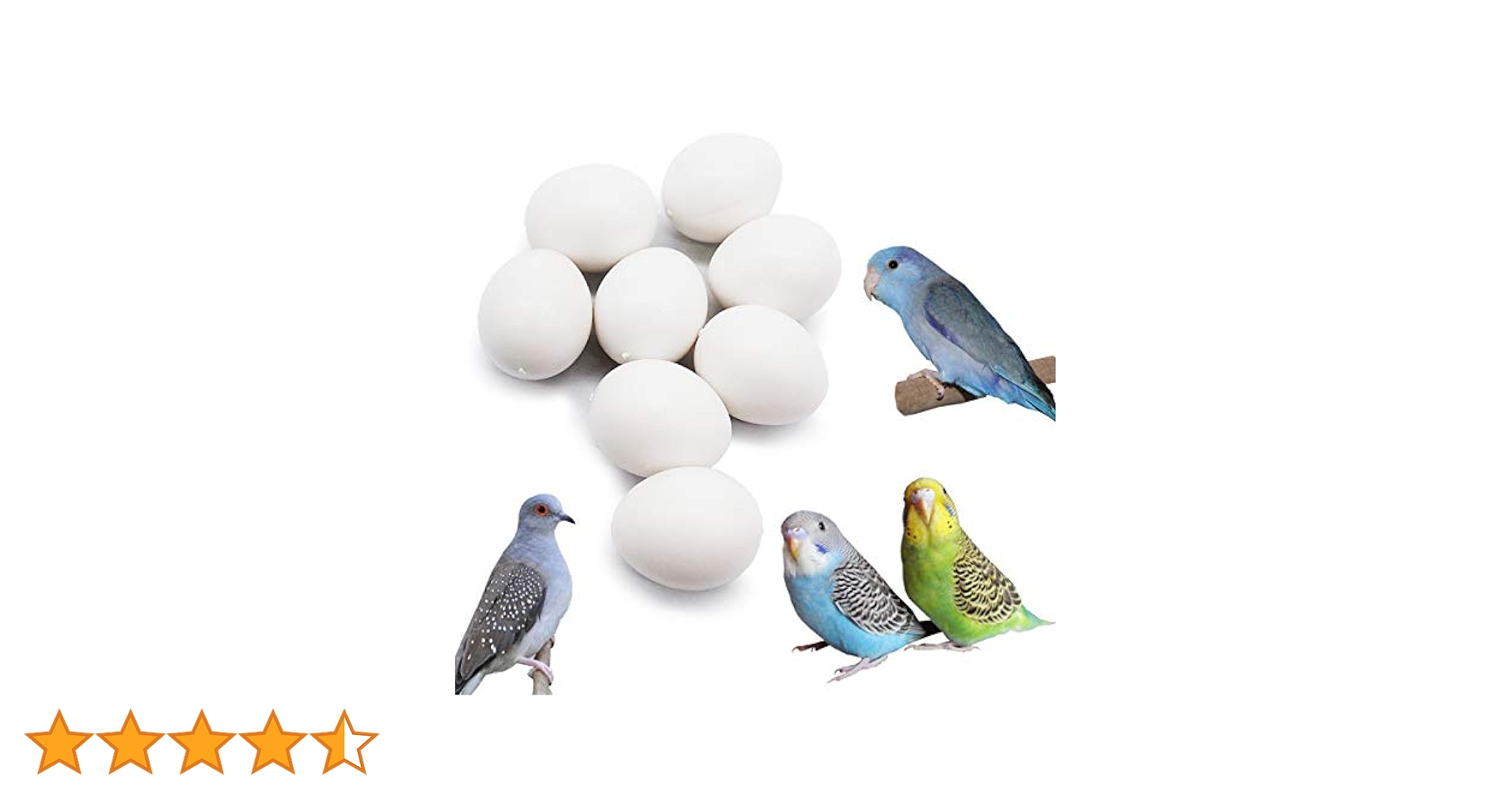 Amazon.co.jp: FOIBURELY 8個 ソリッドオウム プラスチック 卵